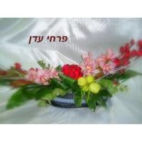 סידור עדן 21